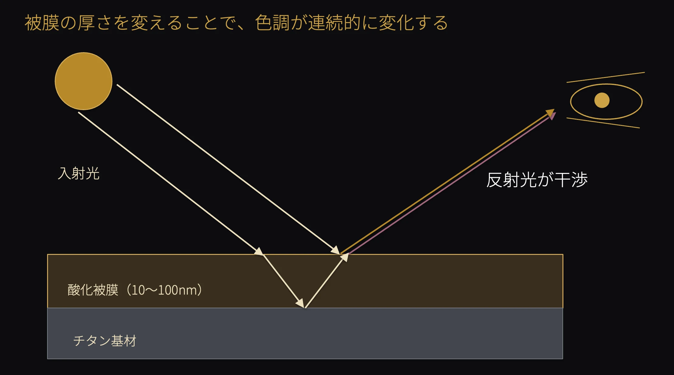 被膜の厚さを変えることで色調が連続的に変化する仕組み図（入射光・反射光の干渉・目に届く色）